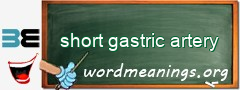 WordMeaning blackboard for short gastric artery